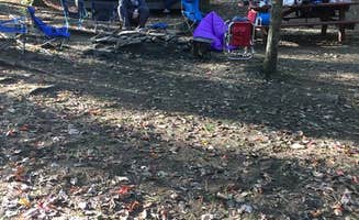 Shelly C.'s photo at Fort Mountain State Park Campground near Carters Lake