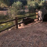 Review photo of Ramona Oaks RV Resort by Lisa L., August 19, 2020