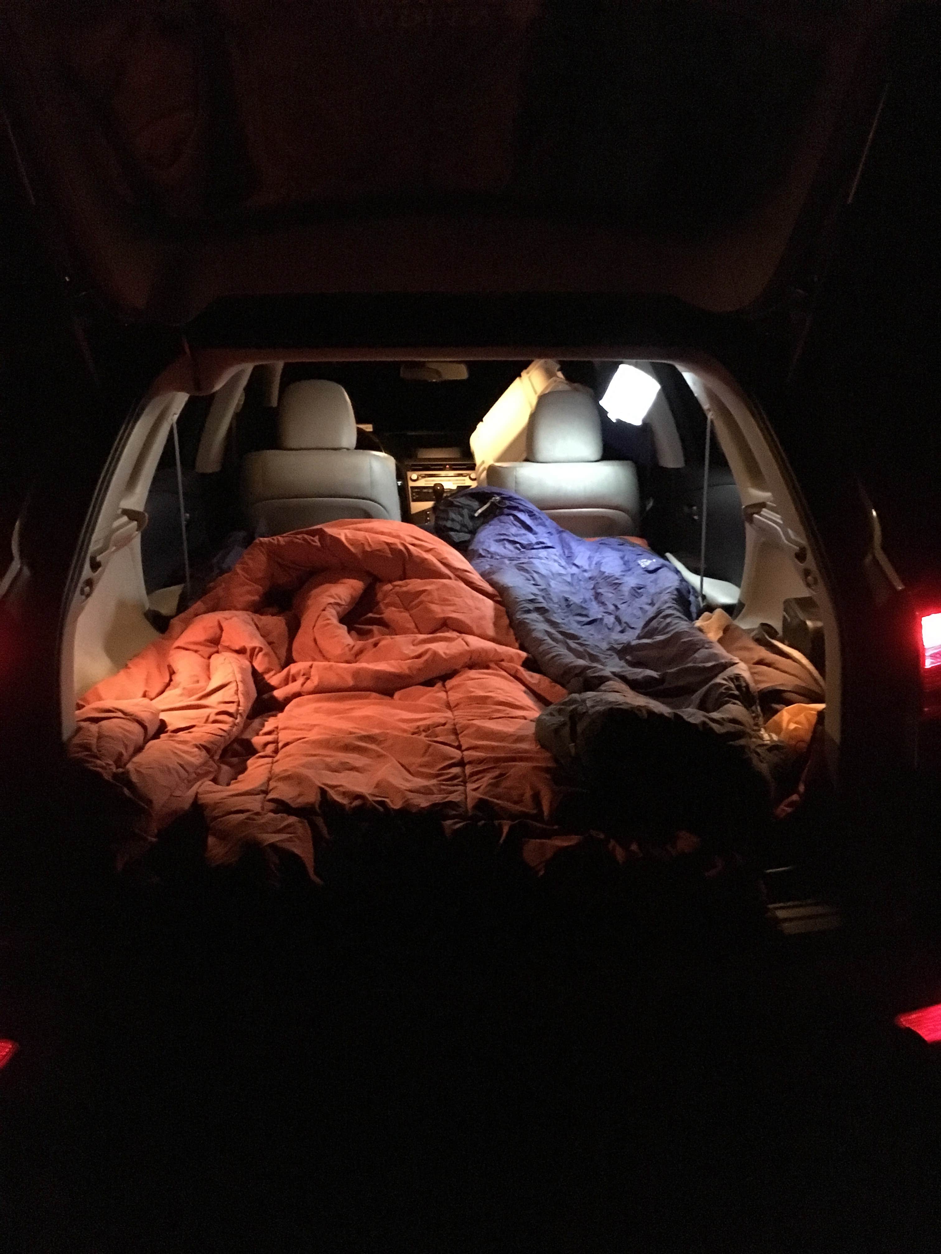 Camper submitted image from Turnipseed Campground - 4