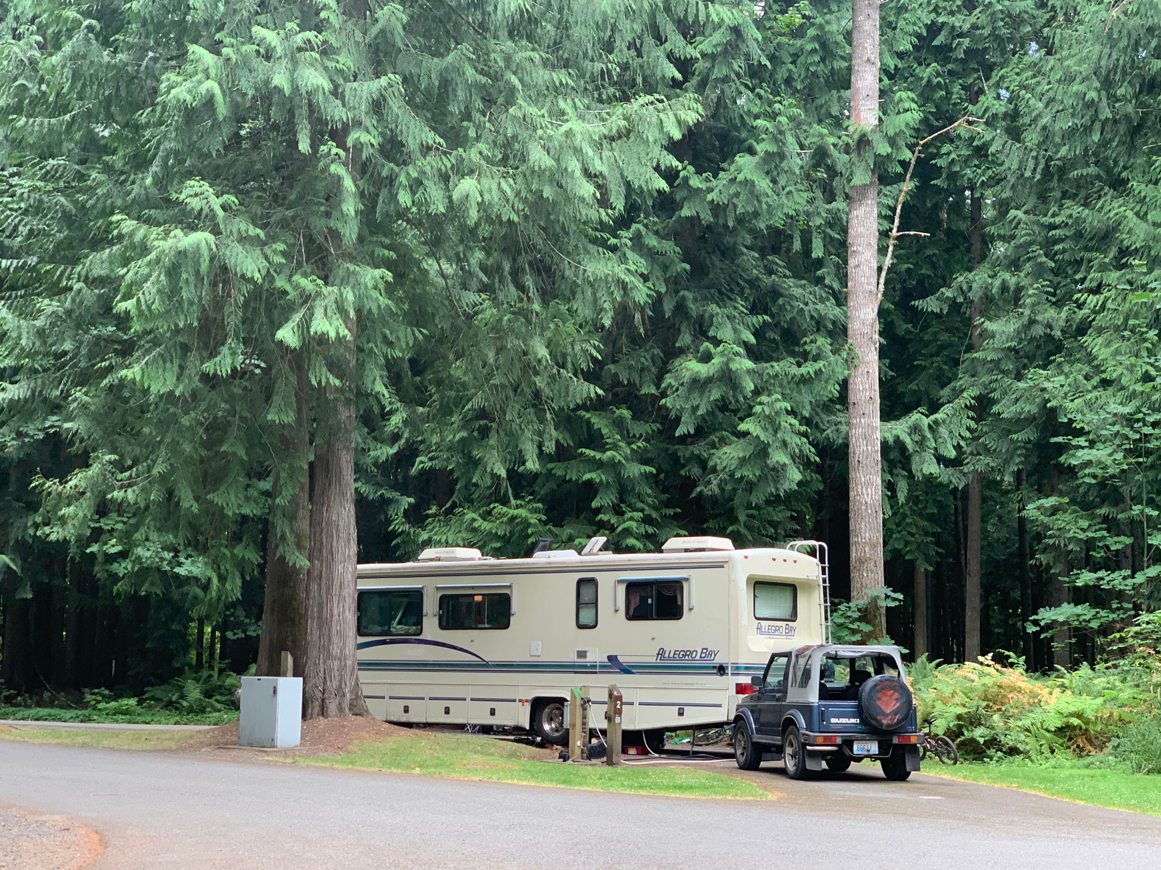 Kathleen D.'s photo of rv camping at Taidnapam Park near Packwood, WA