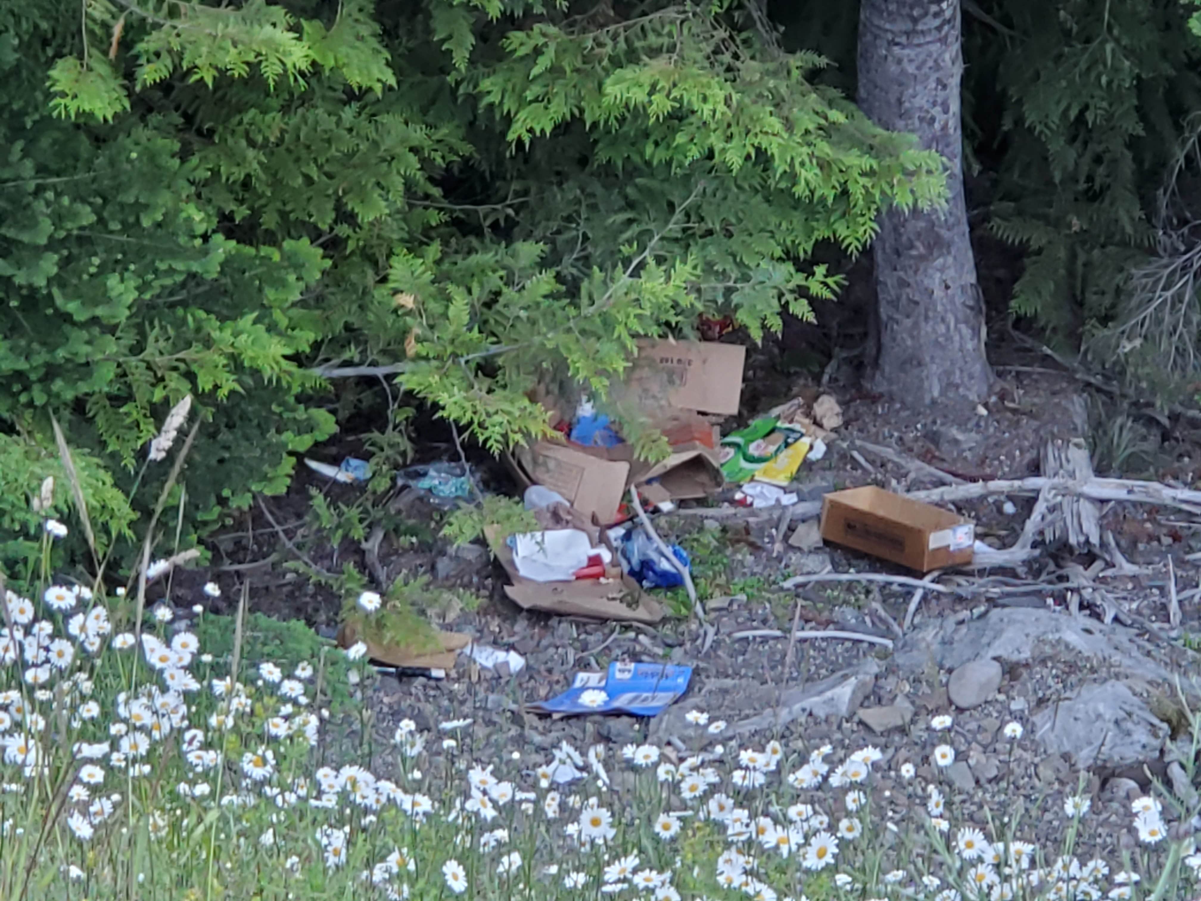 Camping near Granite Lake Dispersed Camping Area: South Fork Tieton Dispersed Camping, White Pass, Washington