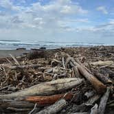 Review photo of Bullards Beach State Park Campground by Erin W., August 19, 2020