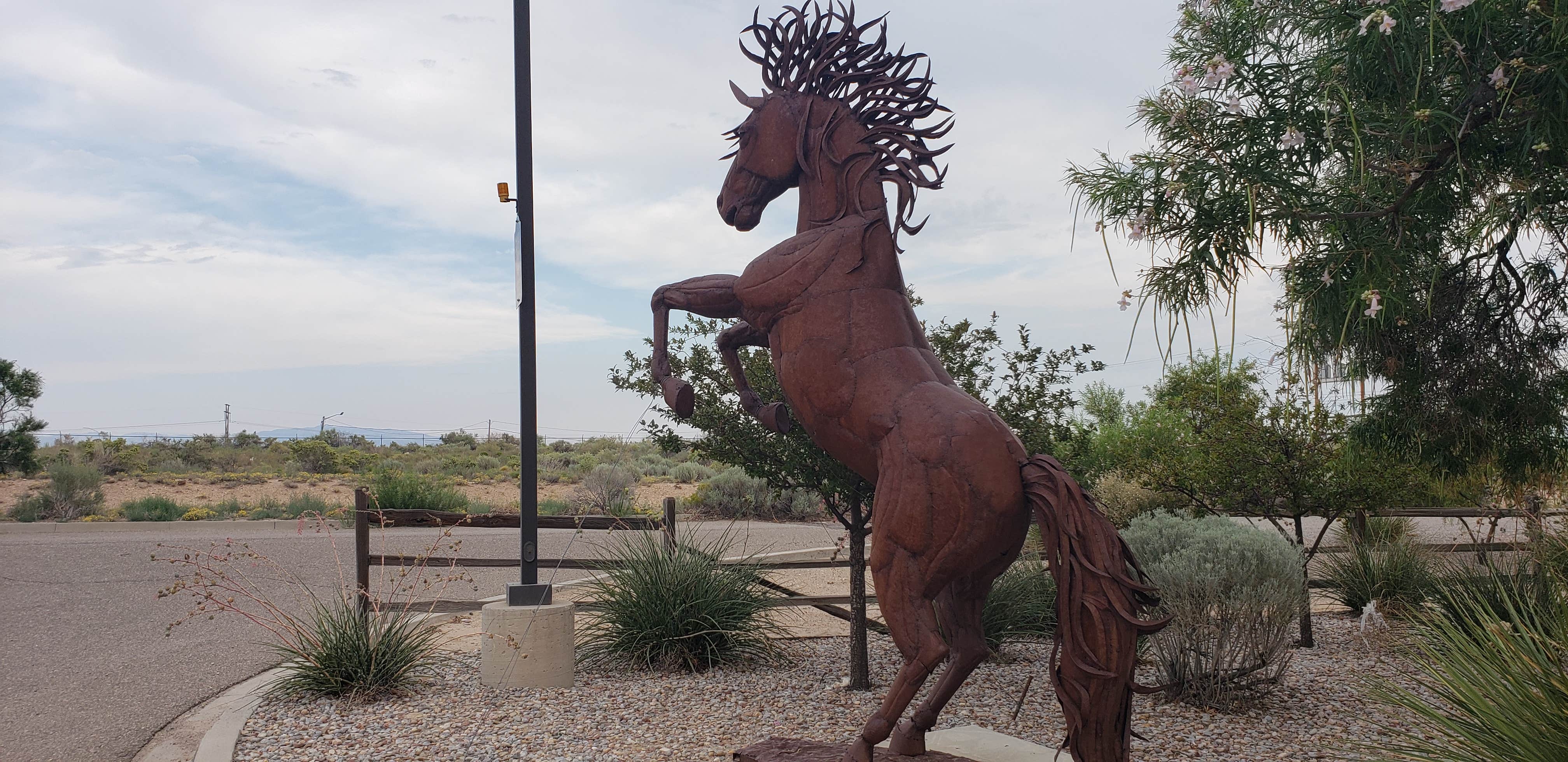 Camper-submitted photo at High Desert RV Park near San Antonio, NM