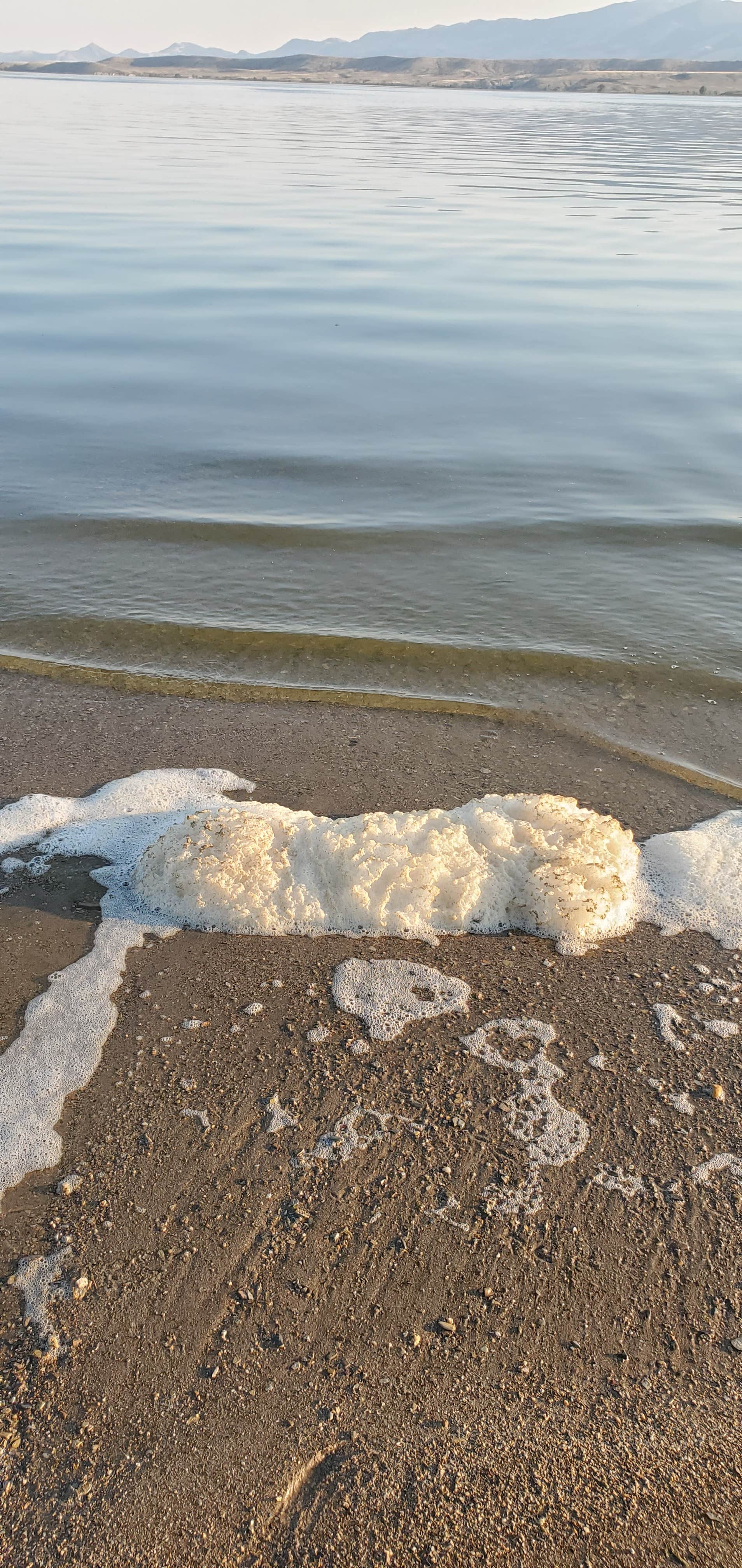 Camper-submitted photo at Ponderosa - Canyon Ferry Reservoir USBR near White Sulphur Springs, MT