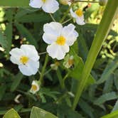 Review photo of Kohler-Andrae State Park by Kathie M., August 15, 2020