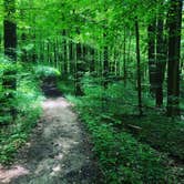 Review photo of Mccormick's Creek State Park Campground by Megan C., August 19, 2020