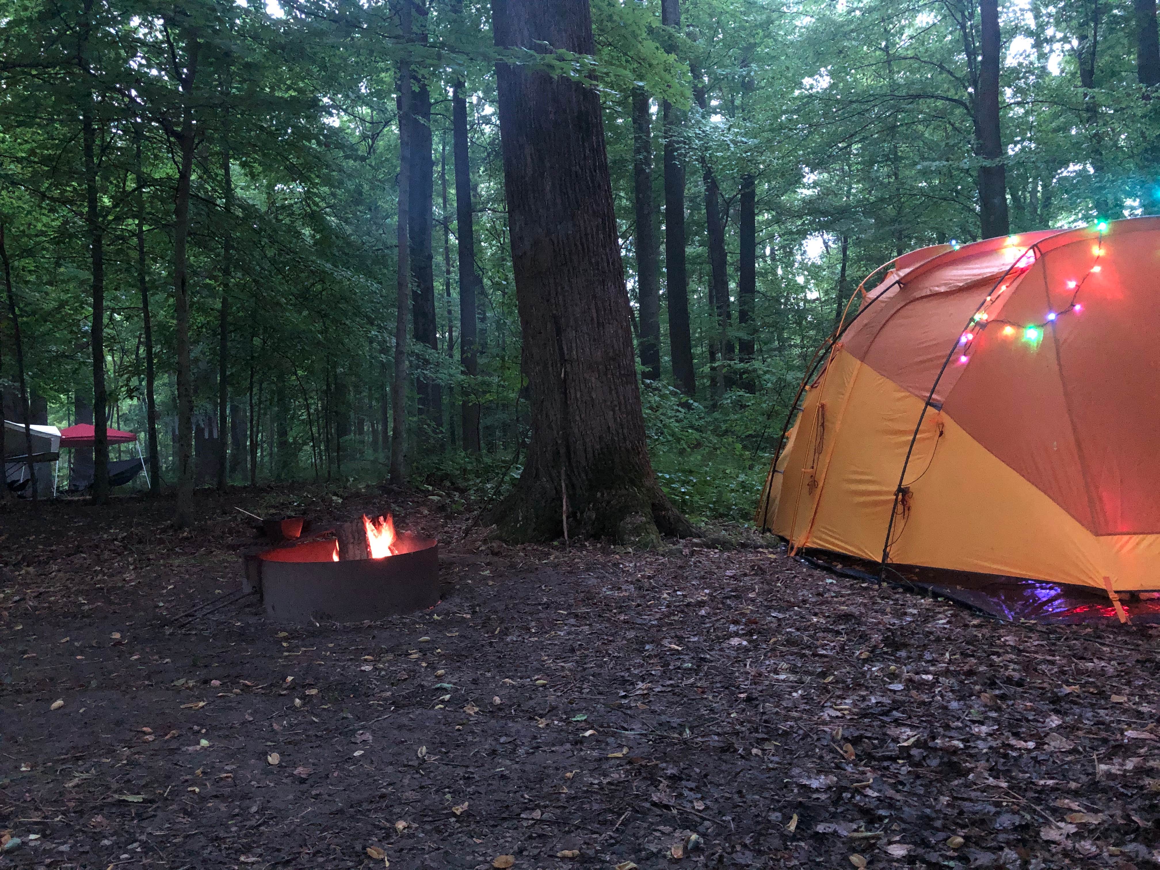Megan C.'s photo at Mccormick's Creek State Park Campground near Greencastle, IN