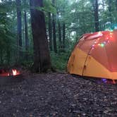 Review photo of Mccormick's Creek State Park Campground by Megan C., August 19, 2020