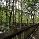 Review photo of Tickfaw State Park by Annell N., August 19, 2020