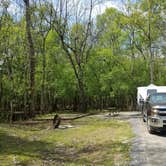 Review photo of Lake Fausse Pointe State Park Campground by Annell N., August 19, 2020