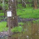 Review photo of Lake Fausse Pointe State Park Campground by Annell N., August 19, 2020