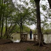 Review photo of Lake Fausse Pointe State Park Campground by Annell N., August 19, 2020