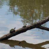 Review photo of Lake Fausse Pointe State Park Campground by Annell N., August 19, 2020