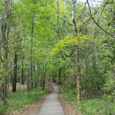 Review photo of Lake Fausse Pointe State Park Campground by Annell N., August 19, 2020