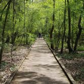 Review photo of Lake Fausse Pointe State Park Campground by Annell N., August 19, 2020