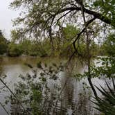 Review photo of Lake Fausse Pointe State Park Campground by Annell N., August 19, 2020