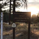 Review photo of Angeles National Forest Meadow Group Campground by Jessica P., August 19, 2020