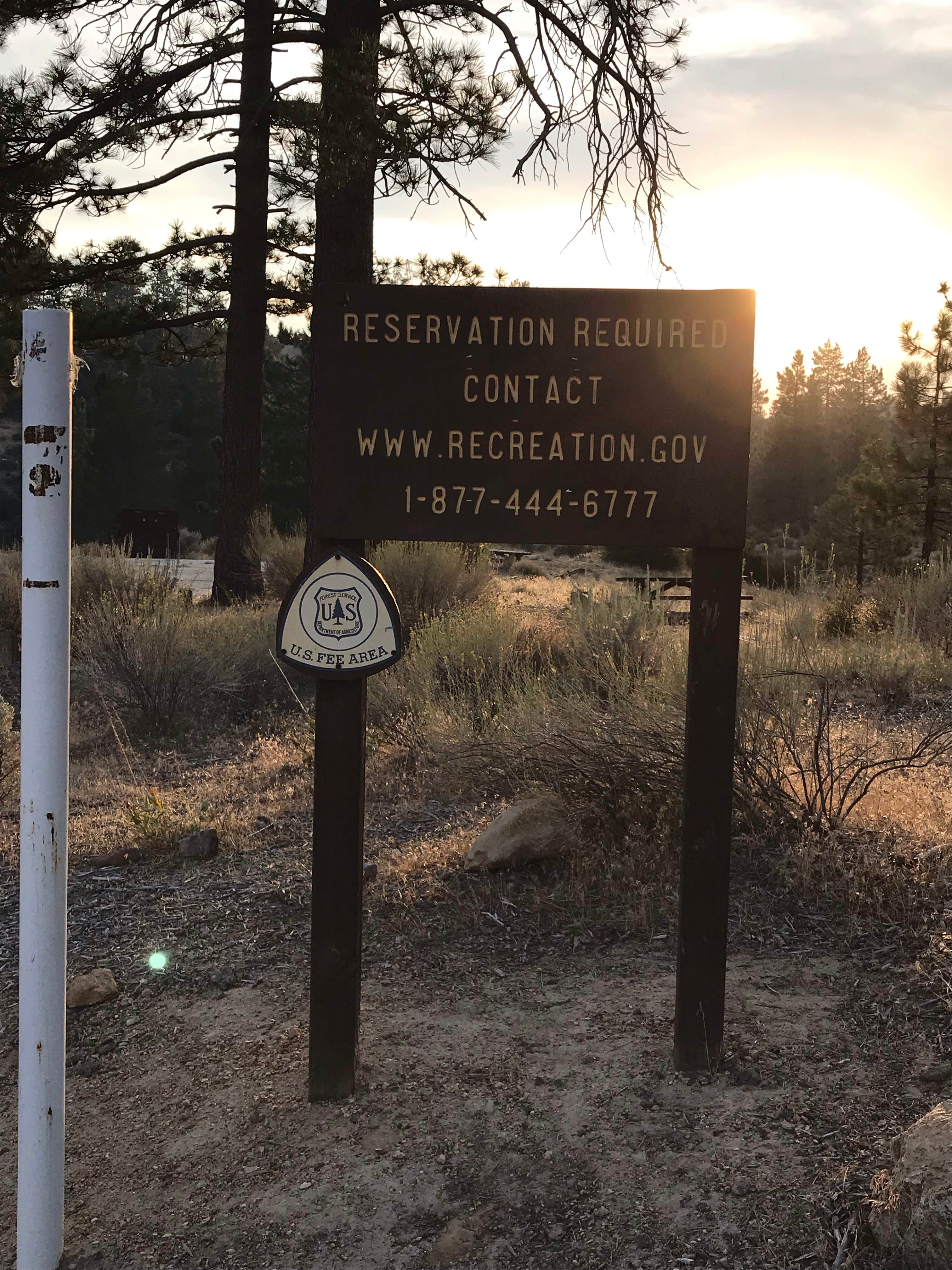 Signs & Maps