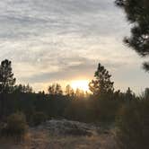 Review photo of Angeles National Forest Meadow Group Campground by Jessica P., August 19, 2020