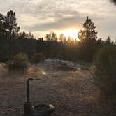 Review photo of Angeles National Forest Meadow Group Campground by Jessica P., August 19, 2020