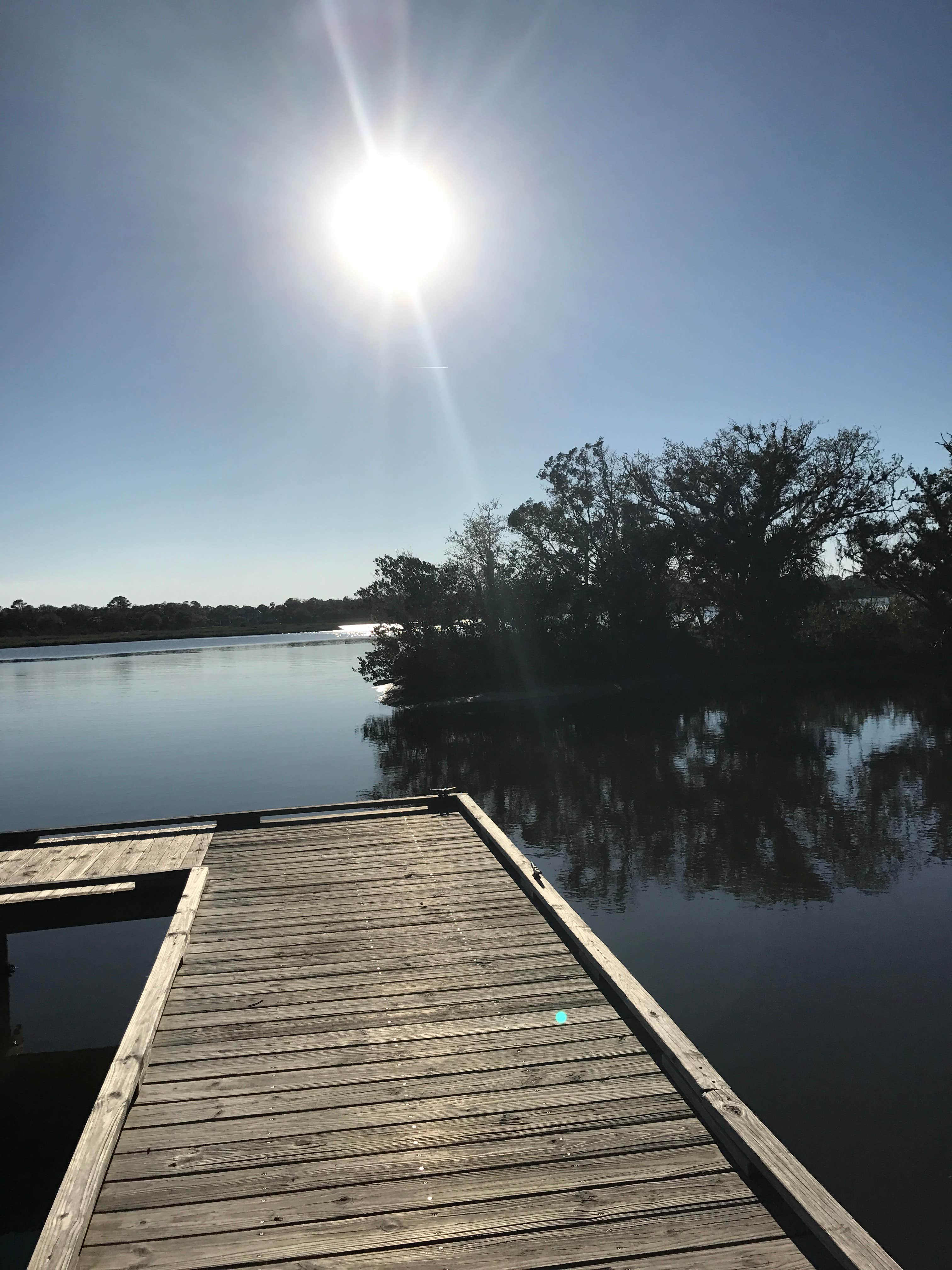 Camper submitted image from Tomoka State Park Campground - 4