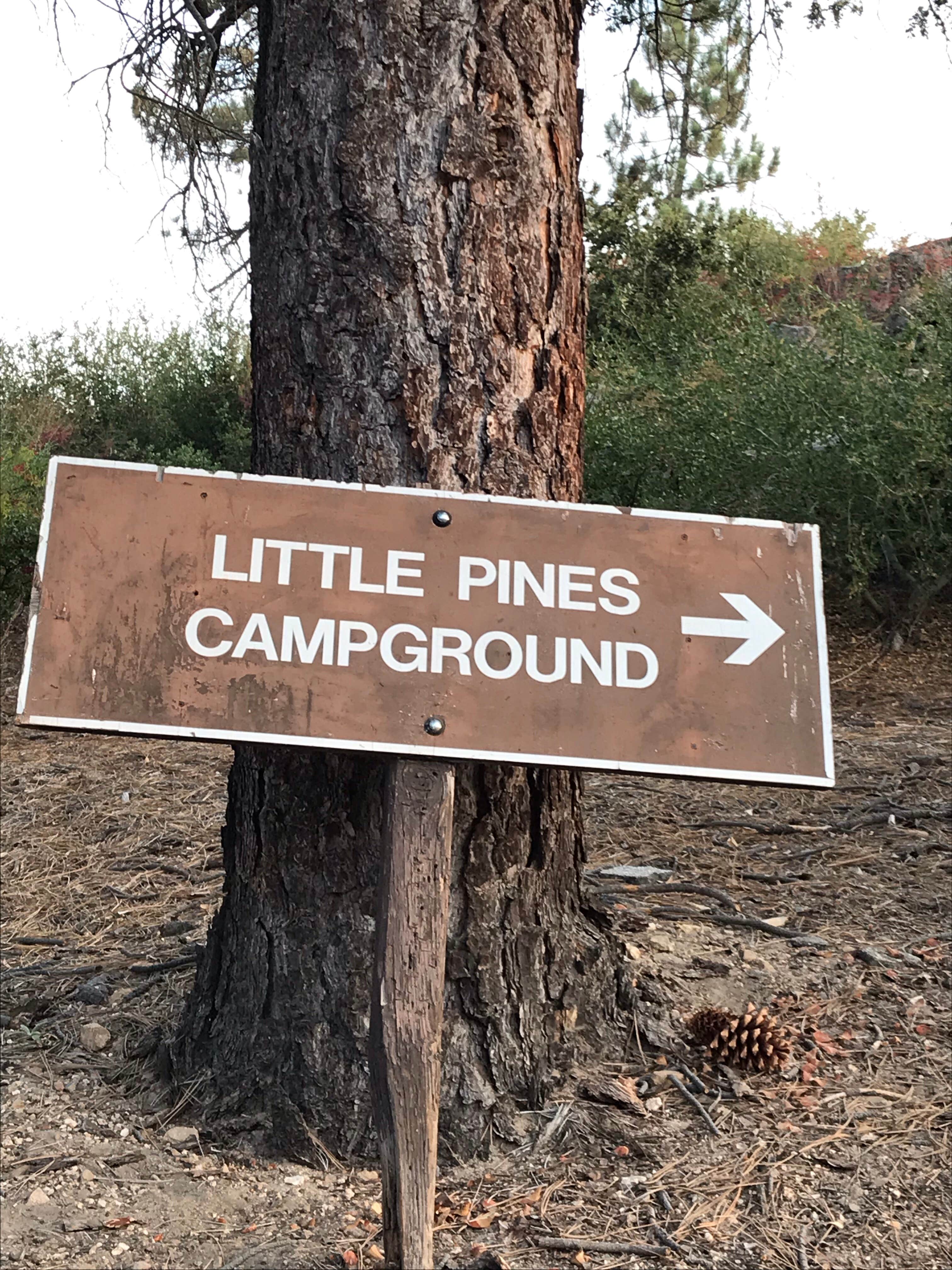 Camper-submitted photo at Little pine campground near Lancaster, CA