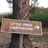 Review photo of Little pine campground by Jessica P., August 19, 2020