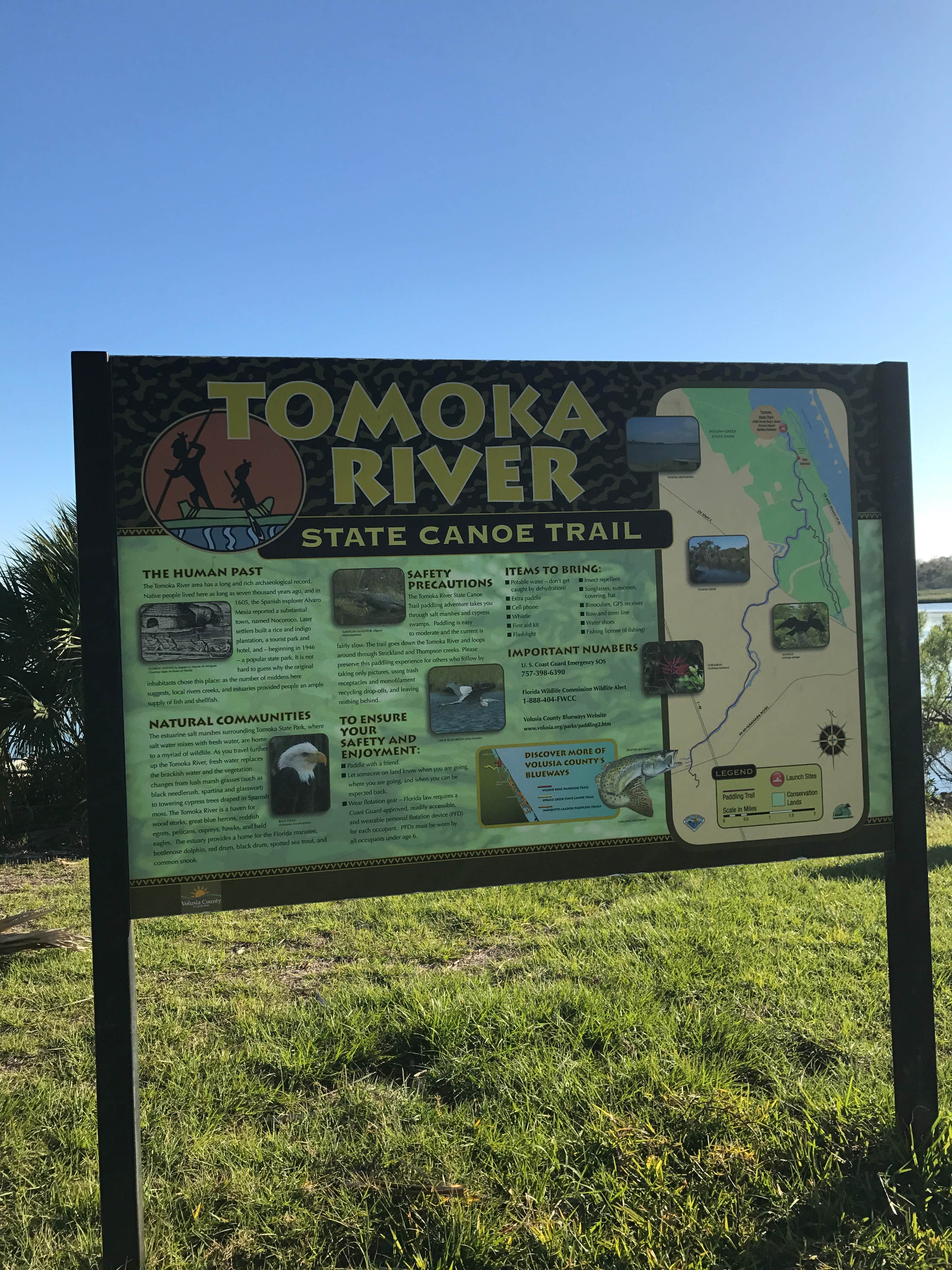 Camper submitted image from Tomoka State Park Campground - 3