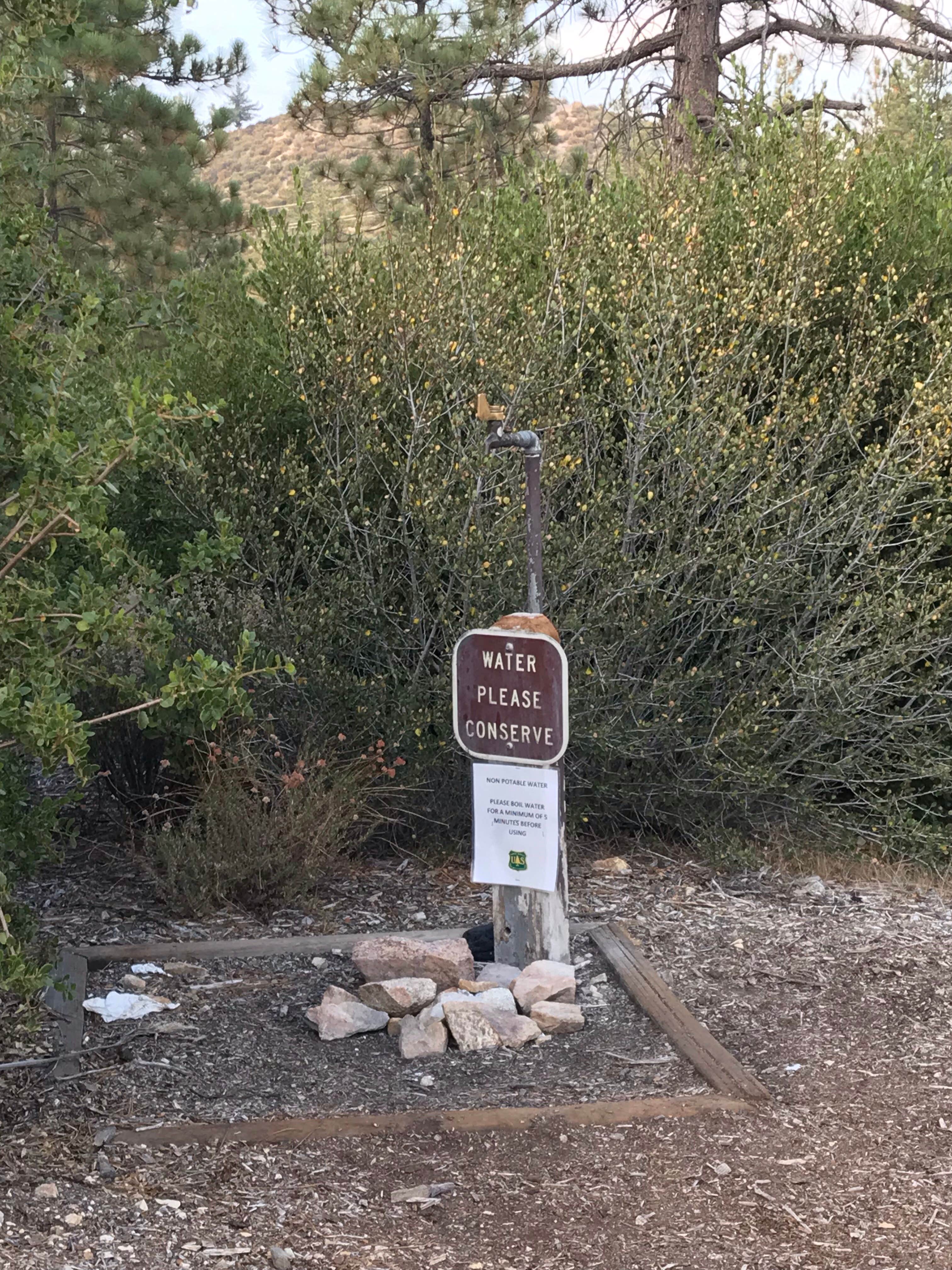 Camper-submitted photo at Little pine campground near Lancaster, CA