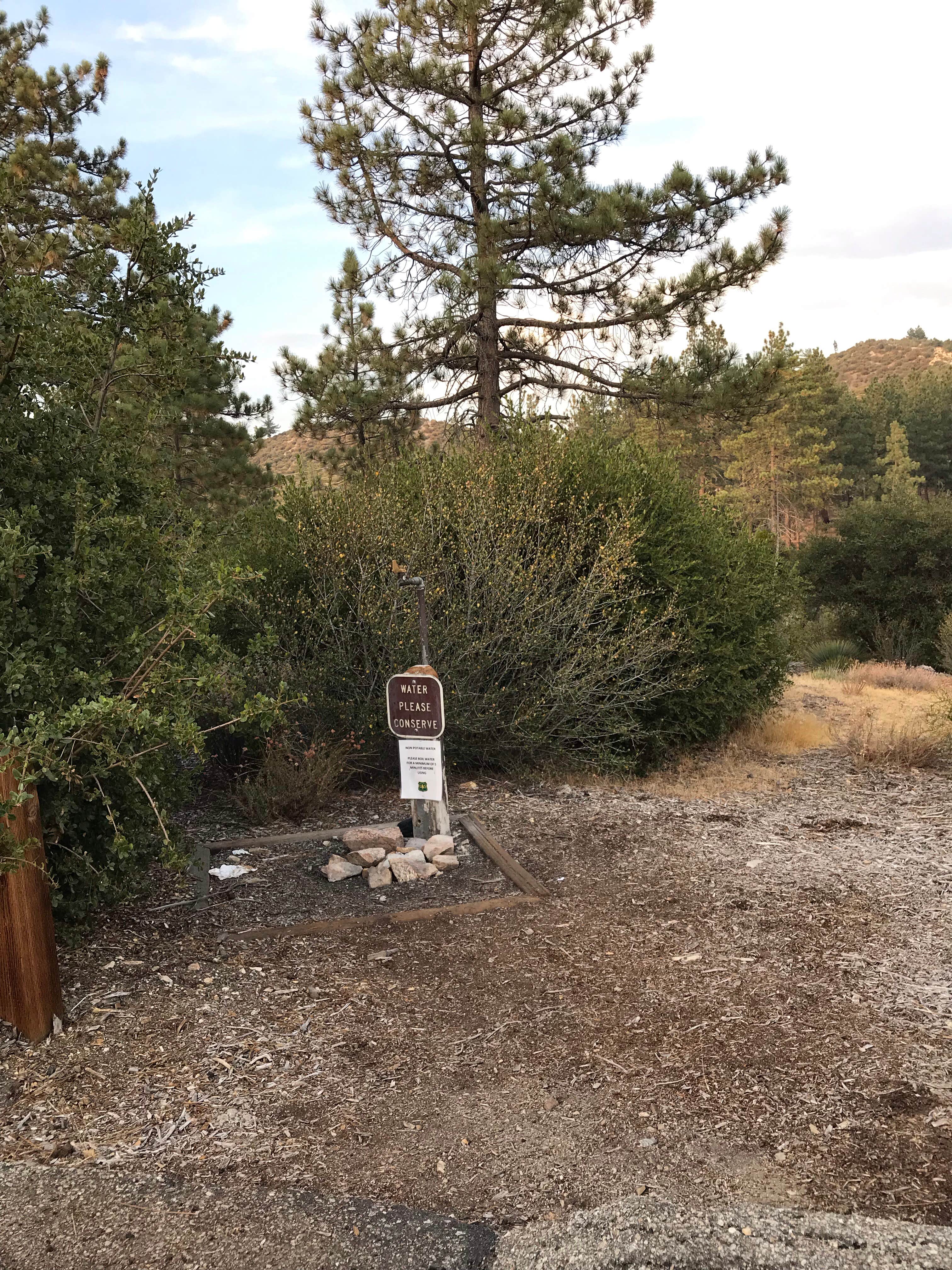 Camper-submitted photo at Little pine campground near Lancaster, CA