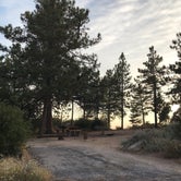 Review photo of Little pine campground by Jessica P., August 19, 2020