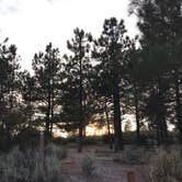 Review photo of Little pine campground by Jessica P., August 19, 2020