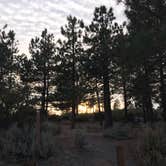 Review photo of Little pine campground by Jessica P., August 19, 2020