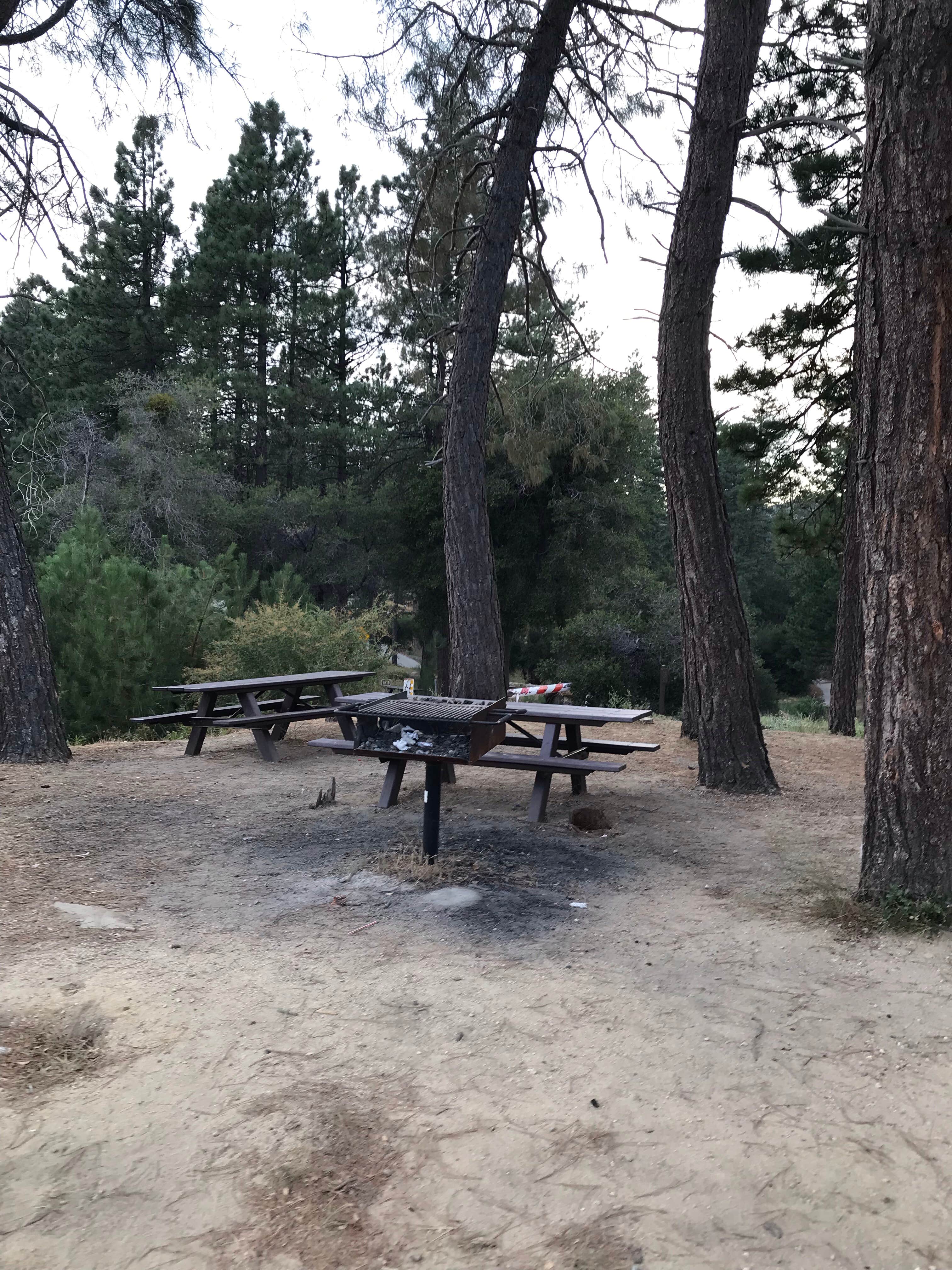 Camper submitted image from Carlton Flat Campground - 3