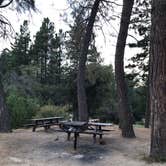 Review photo of Carlton Flat Campground by Jessica P., August 19, 2020