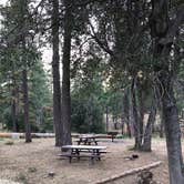 Review photo of Carlton Flat Campground by Jessica P., August 19, 2020