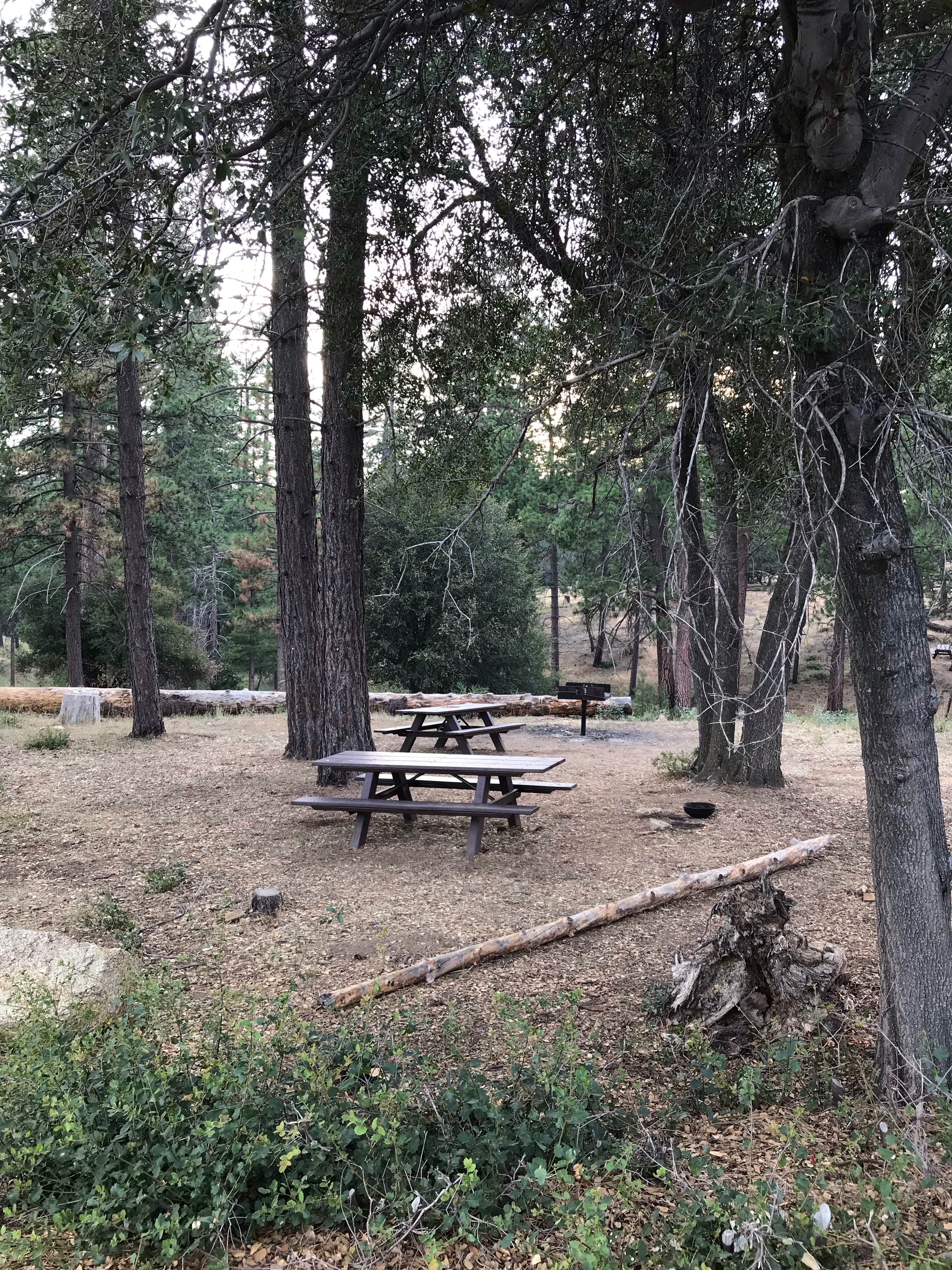 Camper submitted image from Carlton Flat Campground - 5