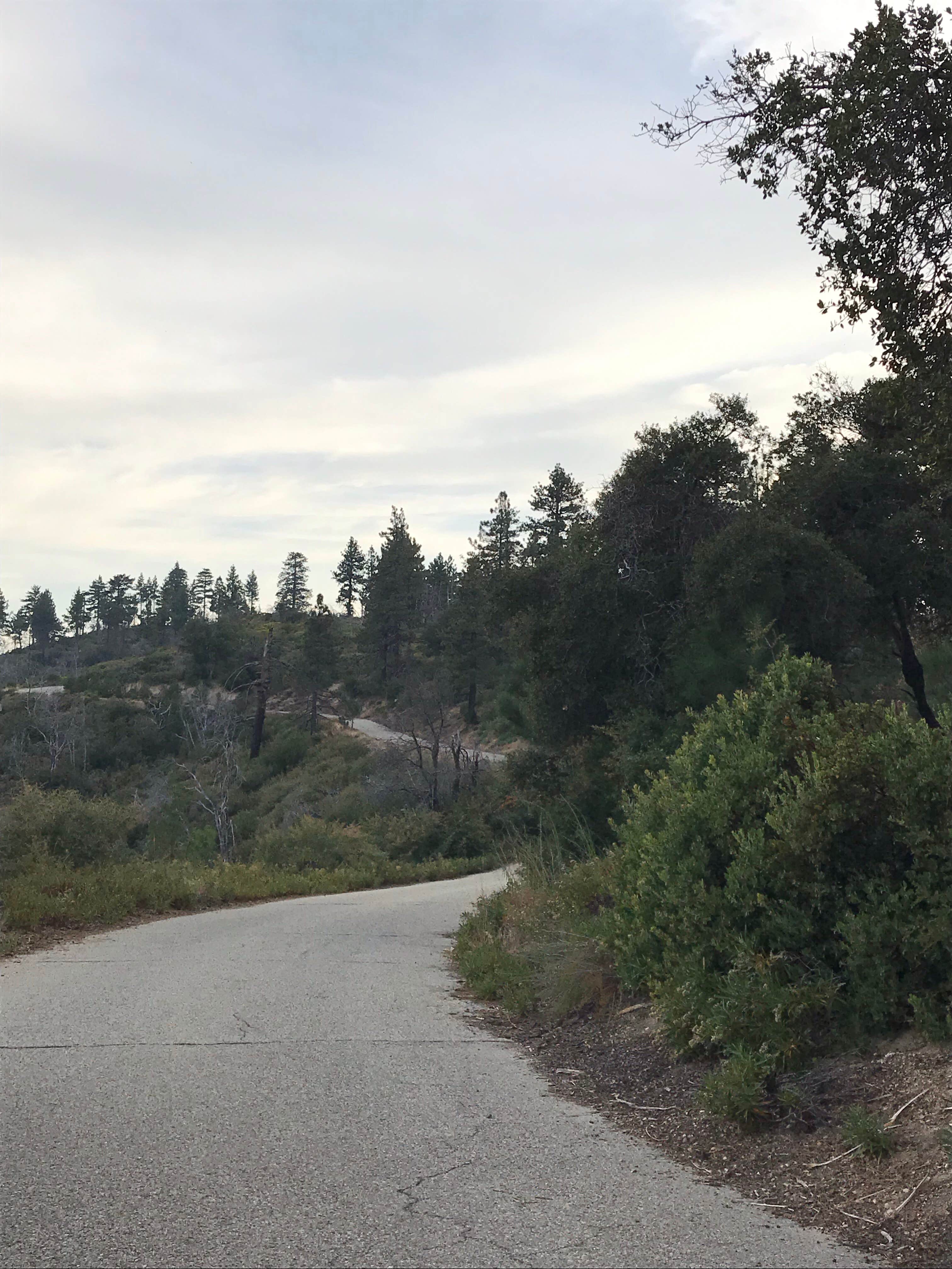 Camper-submitted photo at Carlton Flat Campground near Oroville, CA
