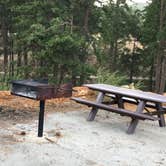 Review photo of Carlton Flat Campground by Jessica P., August 19, 2020