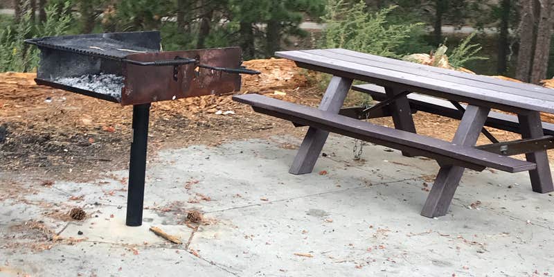 Camper submitted image from Carlton Flat Campground