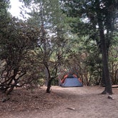Review photo of Stone Creek Campground — Mount San Jacinto State Park by Craig M., August 19, 2020