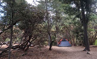Craig M.'s photo at Stone Creek Campground — Mount San Jacinto State Park near Beaumont, CA