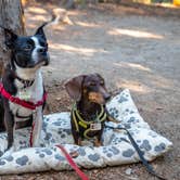 Review photo of Stone Creek Campground — Mount San Jacinto State Park by Craig M., August 19, 2020