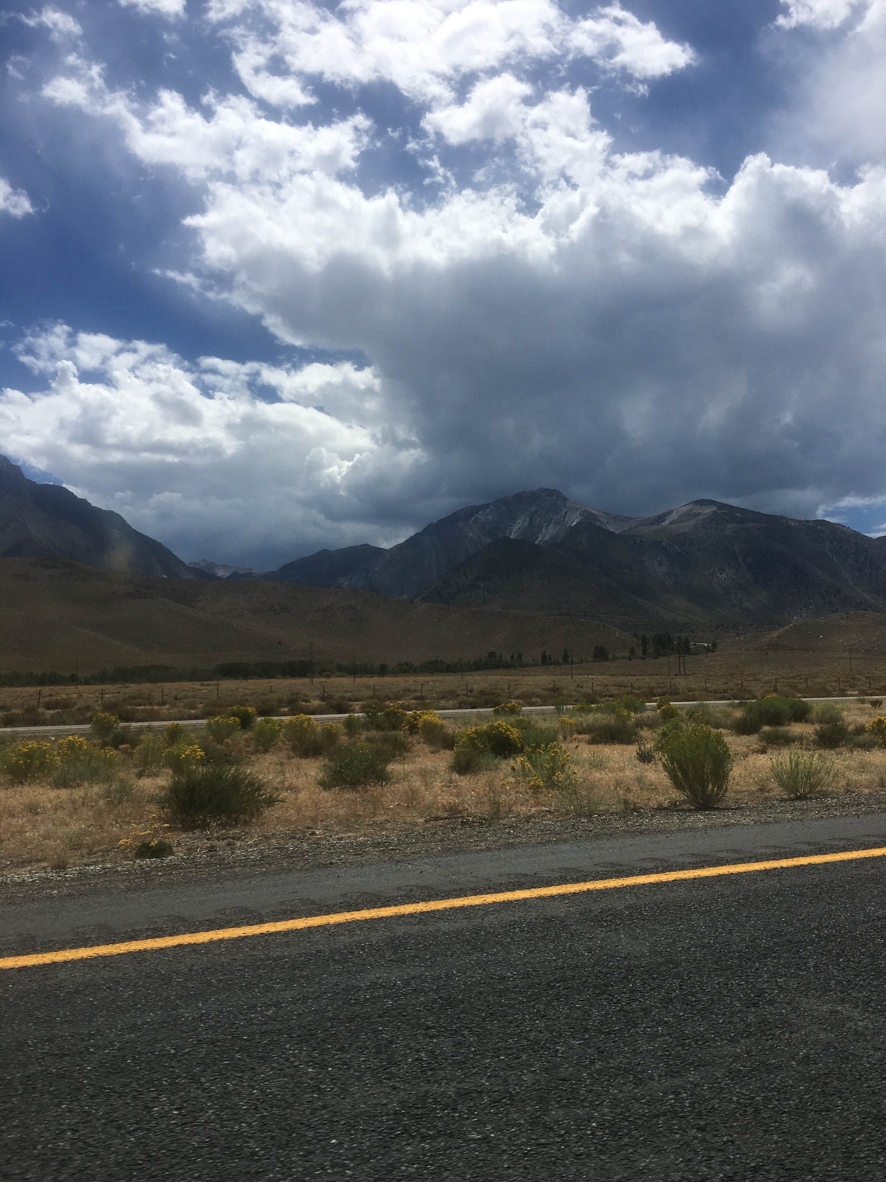 Camper submitted image from Agnew Meadows Group Camp - 3