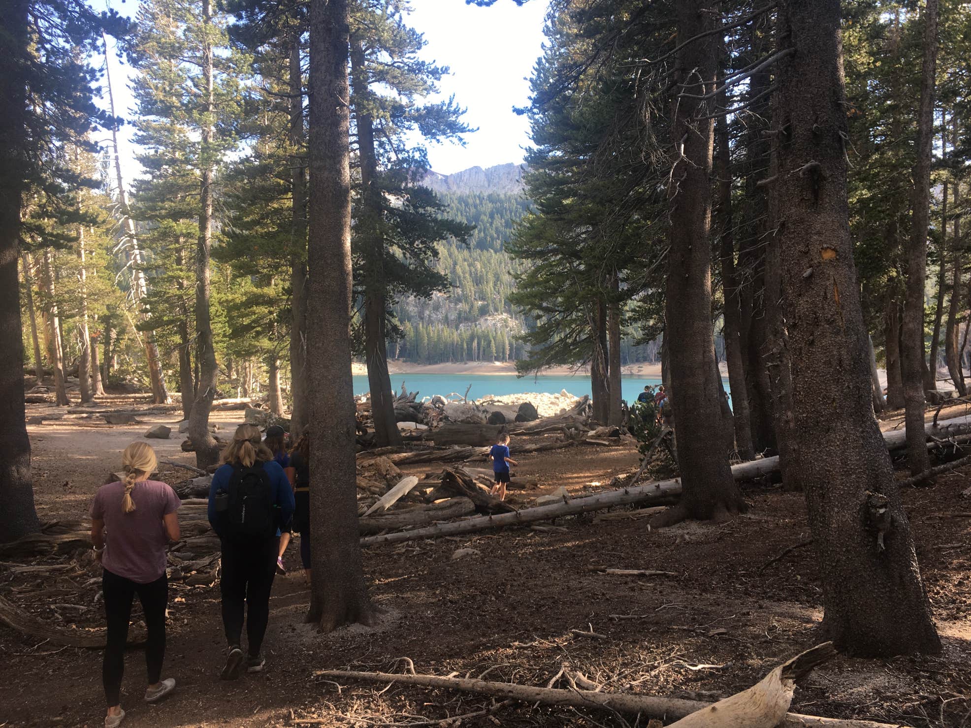 Agnew Meadows Group Camp The Dyrt