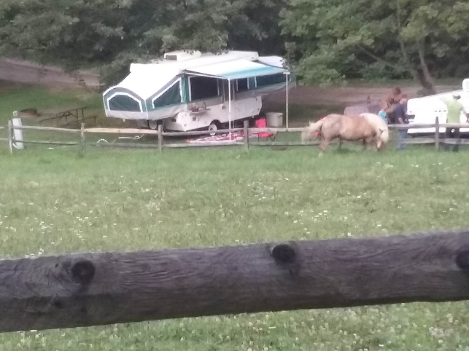 Joan K.'s photo of rv camping at Bear Run Campground near Negley, OH