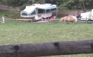 Joan K.'s photo of rv camping at Bear Run Campground near New Castle, PA