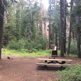 Review photo of Agnew Meadows Group Camp by Spencer L., August 19, 2020