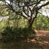 Review photo of Lake Griffin State Park Campground by Brenda S., May 1, 2018