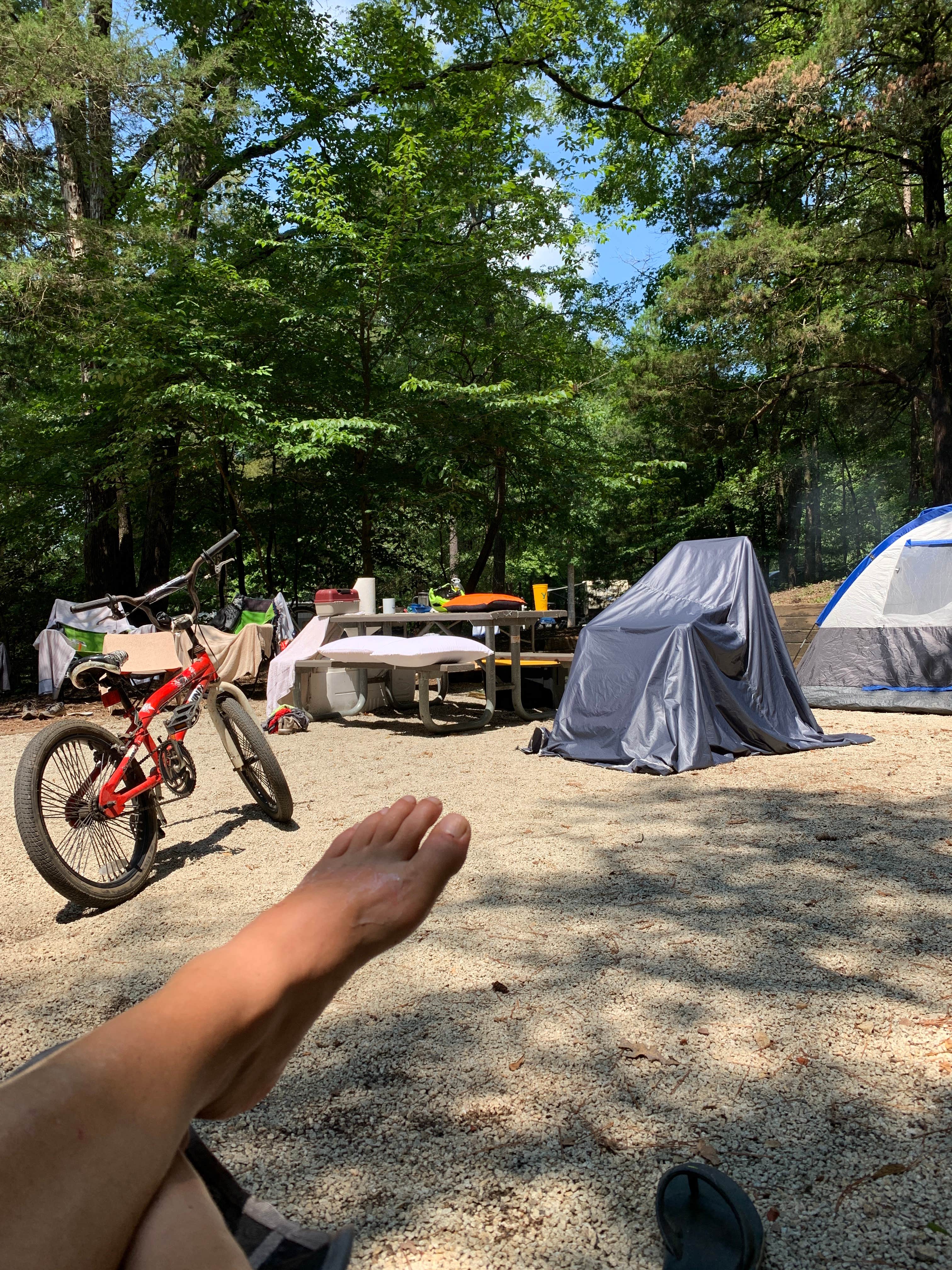 Camper submitted image from Richard B Russell State Park Campground - 4